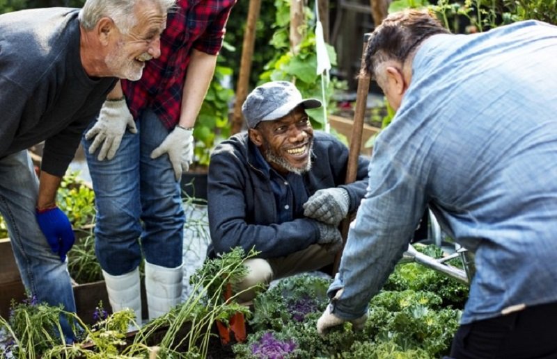 gardening benefits for seniors